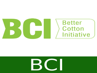 bci
